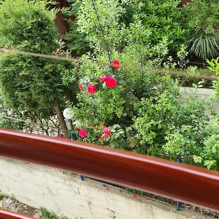 Apartment Family In *