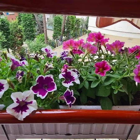 Apartament Family In *