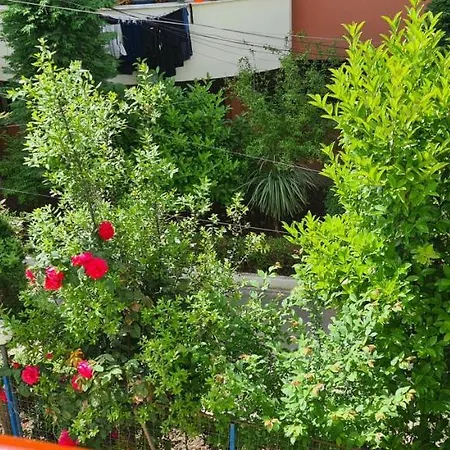 아파트 Family In *