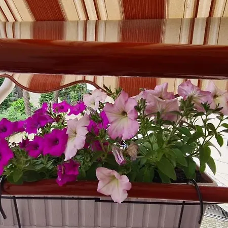 아파트 Family In 골렘