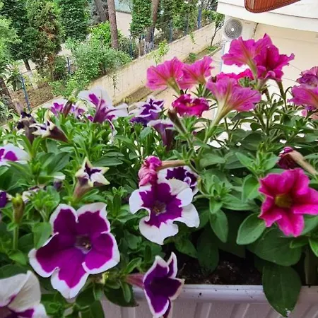 Apartament Family In