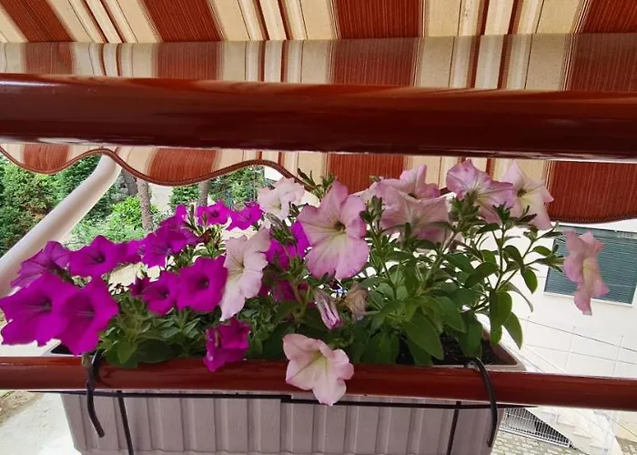 아파트 Family In 골렘