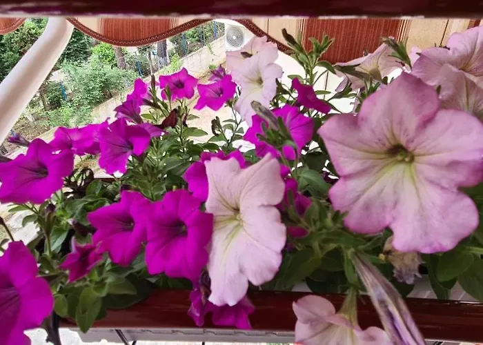 公寓 Family In 格勒姆